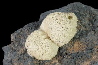 Buy Olmiite/Poldervaartite