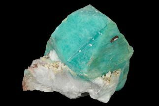 Amazonite Crystal with Bladed Cleavelandite - Colorado #168064