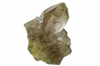 2.2" Rutilated Smoky Quartz Crystal Cluster - Brazil - Crystal #172988