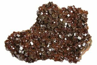 Vanadinite Cluster From Morocco - Epic Plate Of Large Crystals! #84452