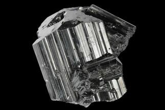 Terminated Black Tourmaline (Schorl) Crystal Cluster - Madagascar #174152