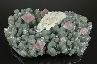 Hedenbergite Quartz With Pink Fluorite Octahedrals - Mongolia #173037