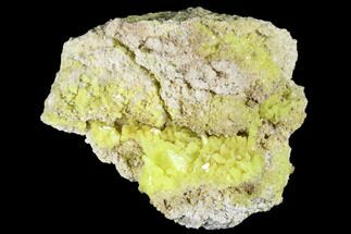 3.2" Sulfur Crystals on Matrix - Steamboat Springs, Nevada - Crystal #174210