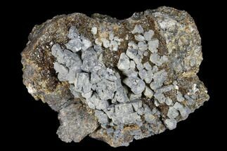 Sphalerite On Galena Specimen - Pine Point Mine, Canada #174030