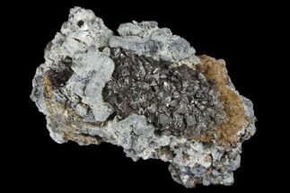 Sphalerite Crystals With Galena - Pine Point Mine, Canada #174043