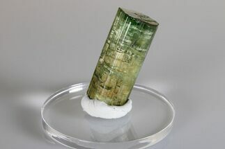 Green Elbaite Tourmaline Crystal - Urubu Mine, Brazil #175535