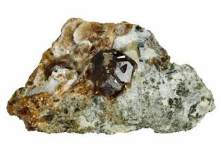 2.7" Grossular Garnets on Hedenbergite - Vesper Peak, Washington - Crystal #175442