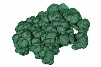 Sparkling, Botryoidal Malachite Cluster - Congo #175371