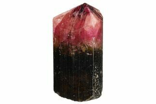 1.95" Bi-Colored Elbaite Tourmaline - Siberia, Russia - Crystal #175647