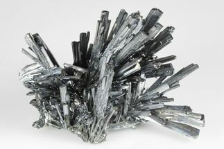 Lustrous, Metallic Stibnite Crystal Spray - China #175884