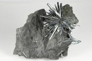 Metallic Stibnite Crystal Spray On Matrix - Xikuangshan Mine, China #175929