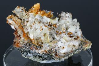 Native Silver and Cerussite Association - Bunker Hill Mine, Idaho #175878