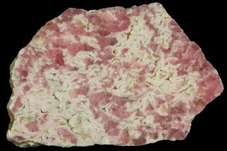 2.3" Rhodochrosite Stalactite Slab - Argentina - Crystal #176245