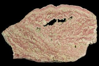 4.6" Rhodochrosite Stalactite Slab - Argentina - Crystal #176264