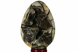 Gorgeous, Septarian Dragon Egg Geode - Black Crystals #177416