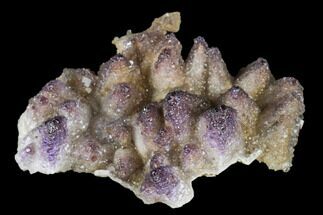 Calcite Crystal Cluster with Purple Fluorite (New Find) - China #177562