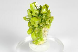 1.25" Apple-Green Pyromorphite Crystal Cluster - China - Crystal #179714