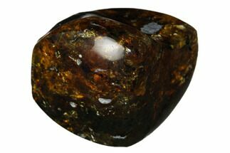 1.1" Polished Chiapas Amber (12 grams) - Mexico - Fossil #180411