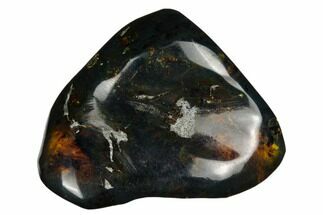 1.5" Polished Chiapas Amber (13 grams) - Mexico - Fossil #180417
