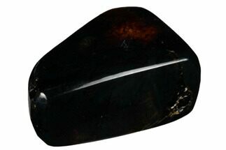 1.55" Polished Chiapas Amber (14 grams) - Mexico - Fossil #180477