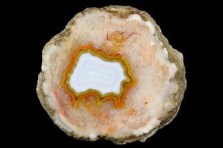 3.1" Polished Agate Nodule Half - Agouim, Morocco - Crystal #180716