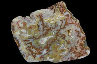8.4" Polished Berber Agate Slab -Sidi Rahal, Morocco - Crystal #181041