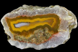 3.8" Polished Agate Nodule Half - Agouim, Morocco - Crystal #181443