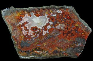 5.3" Polished Cruentus Agate Slice - Kerrouchen, Morocco - Crystal #181473