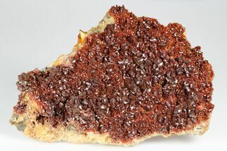 Ruby Red Vanadinite Crystal Cluster - Morocco #181694
