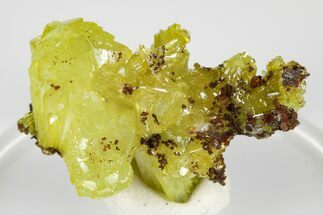 Yellow Adamite Crystal Cluster - Ojuela Mine, Mexico #183728