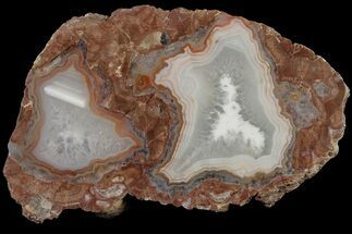 5.1" Polished Baker Ranch Thunderegg (Half) - New Mexico   - Crystal #180679