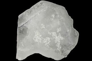 2.7" Large Barite Crystal - Jalna, India - Crystal #183983