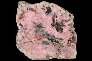 Polished Cobaltoan Calcite Slab - Congo #184018
