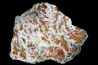 3.7" Wingate Pass Plume Agate Slab - California - Crystal #184793