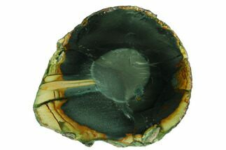 3.2" Polished Slab of Blue Mountain Jasper - Oregon - Crystal #184858