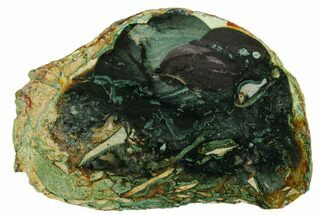 4.8" Polished Slab of Blue Mountain Jasper - Oregon - Crystal #184868