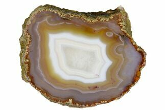 3.7" Polished Banded Agate Slab - Agouim, Morocco - Crystal #184902