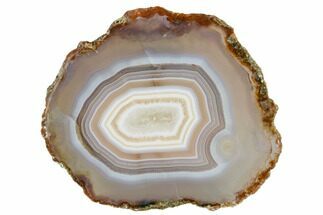 3.7" Polished Banded Agate Slab - Agouim, Morocco - Crystal #184903