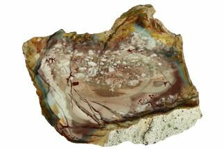 Polished Slab of Morrisonite Jasper - Oregon #184907