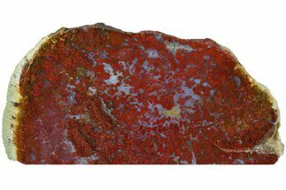 Red, Indonesian Plume Agate Section - North Sumatra, Indonesia #185356
