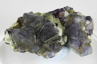 1.6" Purple Fluorite Crystal Cluster - Yaogangxian Mine - Crystal #185612
