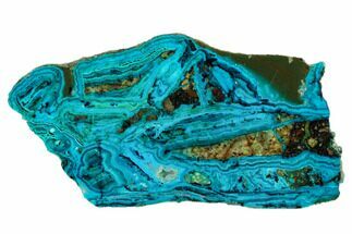 5.6" Polished Banded Chrysocolla and Malachite - Bagdad Mine, Arizona - Crystal #185891