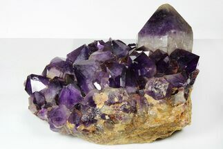 11.6" Deep Purple Amethyst Crystal Cluster With Huge Crystals - Crystal #185443