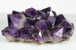 11.7" Deep Purple Amethyst Crystal Cluster With Huge Crystals - Crystal #185446