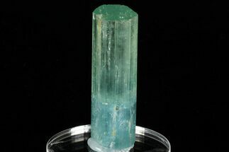 2.31" Bi-Colored Aquamarine Crystal - Transbaikalia, Russia - Crystal #175645