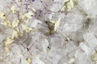 Fluorite For Sale