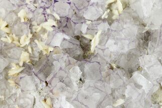 Purple Edge Fluorite Crystal Cluster - Qinglong Mine, China #186903