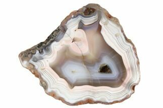 5.5" Polished Banded Agate Nodule Section - Morocco - Crystal #187222