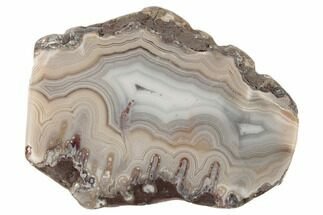 2.8" Polished, Banded Agate Nodule Section - Kerrouchen, Morocco - Crystal #186932