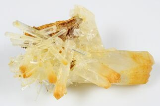 2.5" Dark, Mango Quartz Crystal Cluster - Cabiche, Colombia - Crystal #188354